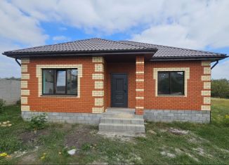 Продам дом, 107 м2, село Пушкарное, Берёзовая улица