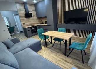 Сдам 1-комнатную квартиру, 46.9 м2, Пенза, улица Измайлова, 38к3