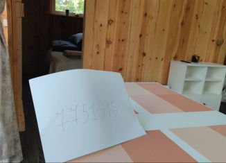 Сдам в аренду дом, 30 м2, Республика Алтай, Набережная улица, 7Б