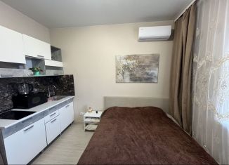 Продажа квартиры студии, 20.4 м2, Ростов-на-Дону, улица Нансена, 103/1/1