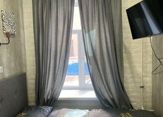 Сдается квартира студия, 15 м2, Санкт-Петербург, Большая Посадская улица, 4Б