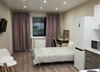 Сдаю квартиру студию, 27 м2, Удмуртия, улица Ленина, 95