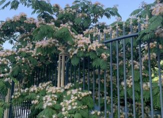 Сдается дом, 25 м2, посёлок пансионата Небуг, Черноморская улица