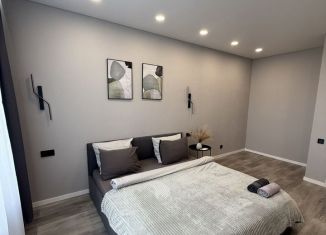 Сдам 1-комнатную квартиру, 39 м2, Татарстан, улица Мансура Хасанова, 13