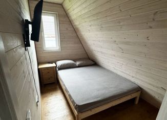 Коттедж в аренду, 50 м2, Тамбовская область, СНТ Лесное, 1