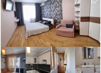 Аренда однокомнатной квартиры, 46 м2, Краснодарский край, Южная улица, 14