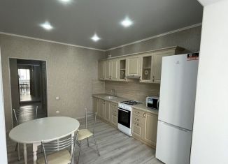 Сдаю в аренду 2-комнатную квартиру, 66 м2, Пятигорск, Оранжерейная улица, 17к1