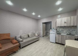 Сдам в аренду квартиру студию, 24.1 м2, Тюмень, улица Мельникайте, 2к8, ЖК Горизонт