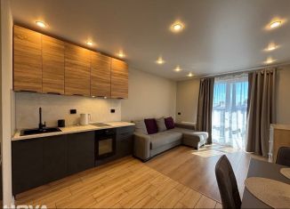 Аренда 1-комнатной квартиры, 30 м2, Карелия, Пробная улица, 15