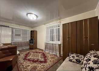 1-ком. квартира на продажу, 29.7 м2, Казань, улица Гагарина, 113