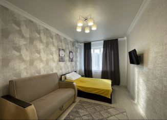 Продается 1-комнатная квартира, 35 м2, Ростов-на-Дону, Берберовская улица, 2/101с2, Пролетарский район