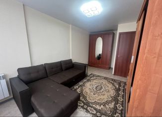 1-ком. квартира в аренду, 35 м2, Пенза, улица Героя России Сергеева, 2