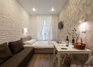 Квартира в аренду студия, 22.3 м2, Санкт-Петербург, Казанская улица, 33/5