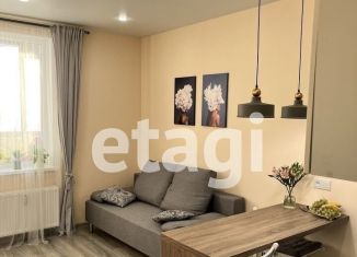 Продаю квартиру студию, 23 м2, Санкт-Петербург, Плесецкая улица, 10