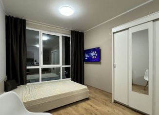 Сдам квартиру студию, 23 м2, посёлок Парголово, Толубеевский проезд, 8к2