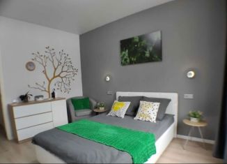 Сдается 2-ком. квартира, 46 м2, Оленегорск, Мурманская улица, 3к2