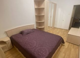 Сдается в аренду однокомнатная квартира, 45 м2, Благовещенск, Зейская улица