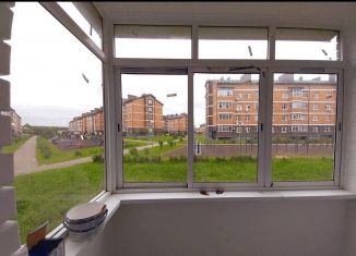 Продам квартиру студию, 13.5 м2, деревня Марьино, Жемчужная улица, 1к9