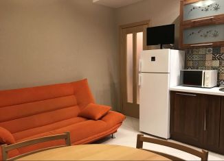 Сдается 1-комнатная квартира, 38 м2, Санкт-Петербург, проспект Сизова, 21