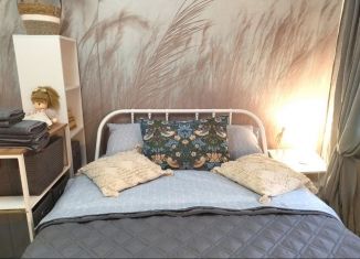 Сдаю квартиру студию, 17 м2, Липецк, улица Космонавтов, 16