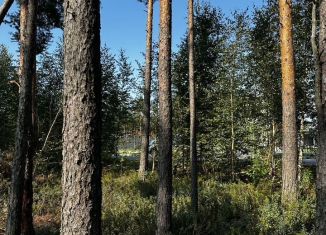 Продаю земельный участок, 11 сот., деревня Энколово, улица Курбатова