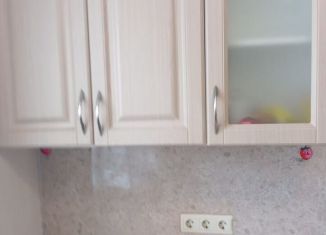 Сдача в аренду 1-ком. квартиры, 45 м2, Санкт-Петербург, улица Коммунаров, 188к1, Красносельский район