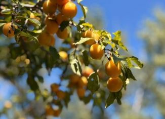 Продам земельный участок, 4.3 сот., посёлок Пятихатки, Скифская улица