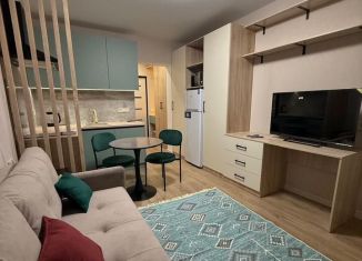 Квартира в аренду студия, 20 м2, Пятигорск, улица Орджоникидзе, 11к1