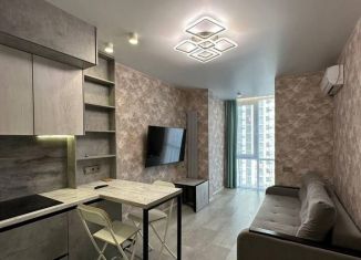 Аренда однокомнатной квартиры, 46 м2, Сочи, переулок Трунова, 6к3, микрорайон Завокзальный