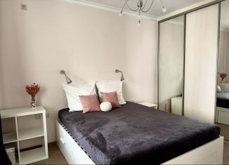 Сдается в аренду однокомнатная квартира, 49.2 м2, Москва, Кастанаевская улица, 43к2