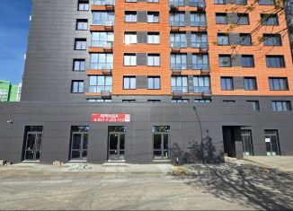 Сдаю помещение свободного назначения, 30 м2, Республика Башкортостан, Айская улица, 51