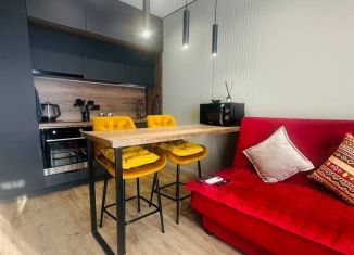 Продам 1-комнатную квартиру, 32 м2, Сочи, микрорайон Завокзальный, переулок Трунова, 6к5