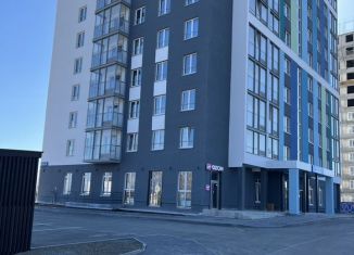 Сдается в аренду помещение свободного назначения, 63 м2, Петрозаводск, улица Онежской Флотилии, 10