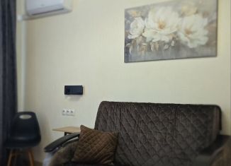 Сдача в аренду 1-комнатной квартиры, 35 м2, Тверь, улица Маршала Конева, 8