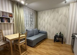 Продам квартиру студию, 25 м2, посёлок Парголово, Толубеевский проезд, 26к1