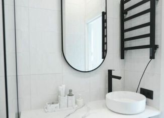 Сдам квартиру студию, 16 м2, Санкт-Петербург, Полтавская улица, 10