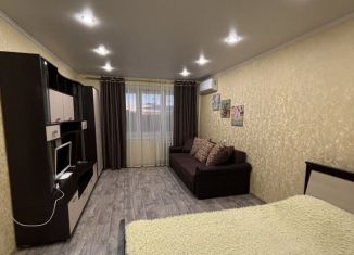 Сдается в аренду однокомнатная квартира, 40 м2, Татарстан, проспект Химиков, 45А