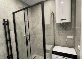 Сдается в аренду 1-ком. квартира, 35 м2, Татарстан, улица Анаса Тазетдинова, 4