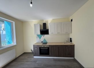 Продаю двухкомнатную квартиру, 70 м2, село Раздольное, Тепличная улица, 63к2