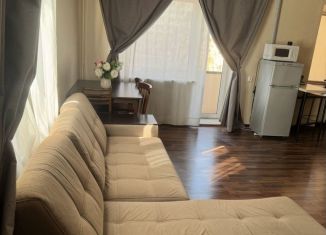 Сдаю квартиру студию, 35 м2, Карелия, улица Гоголя, 32