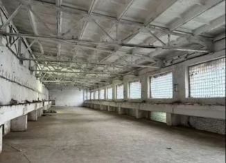 Сдаю помещение свободного назначения, 1200 м2, Архангельск, Никольский проспект, 15к3