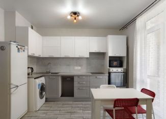 Сдам однокомнатную квартиру, 42.9 м2, Мурино, Петровский бульвар, 14к3, ЖК Краски Лета