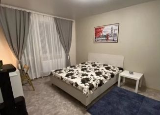 Сдается 1-комнатная квартира, 34 м2, деревня Куюки