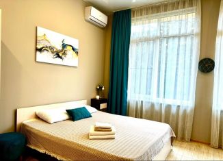 Сдам в аренду квартиру студию, 33 м2, Сочи, Бакинская улица, 36