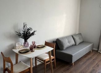 Квартира в аренду студия, 25.5 м2, Санкт-Петербург, проспект Большевиков, 68к1, метро Ломоносовская