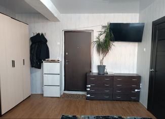 Квартира на продажу студия, 26.3 м2, Иркутская область, 3-й микрорайон, 14