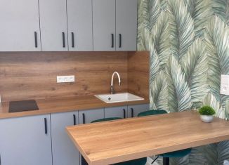 Продается квартира студия, 17 м2, Воронеж, улица Лидии Рябцевой, 55