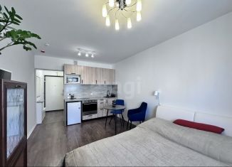 Продам квартиру студию, 20.5 м2, Санкт-Петербург, Пейзажная улица, 30