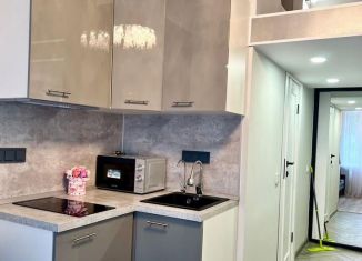 Сдается квартира студия, 16 м2, Москва, Ленская улица, 2/21, СВАО