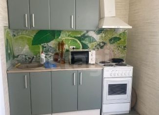 2-ком. квартира в аренду, 47 м2, Воронеж, набережная Максима Горького, 49Б